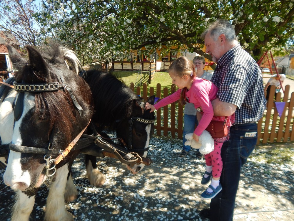 RückblickAlpakaHoffest 2016 von der WinklerRanch